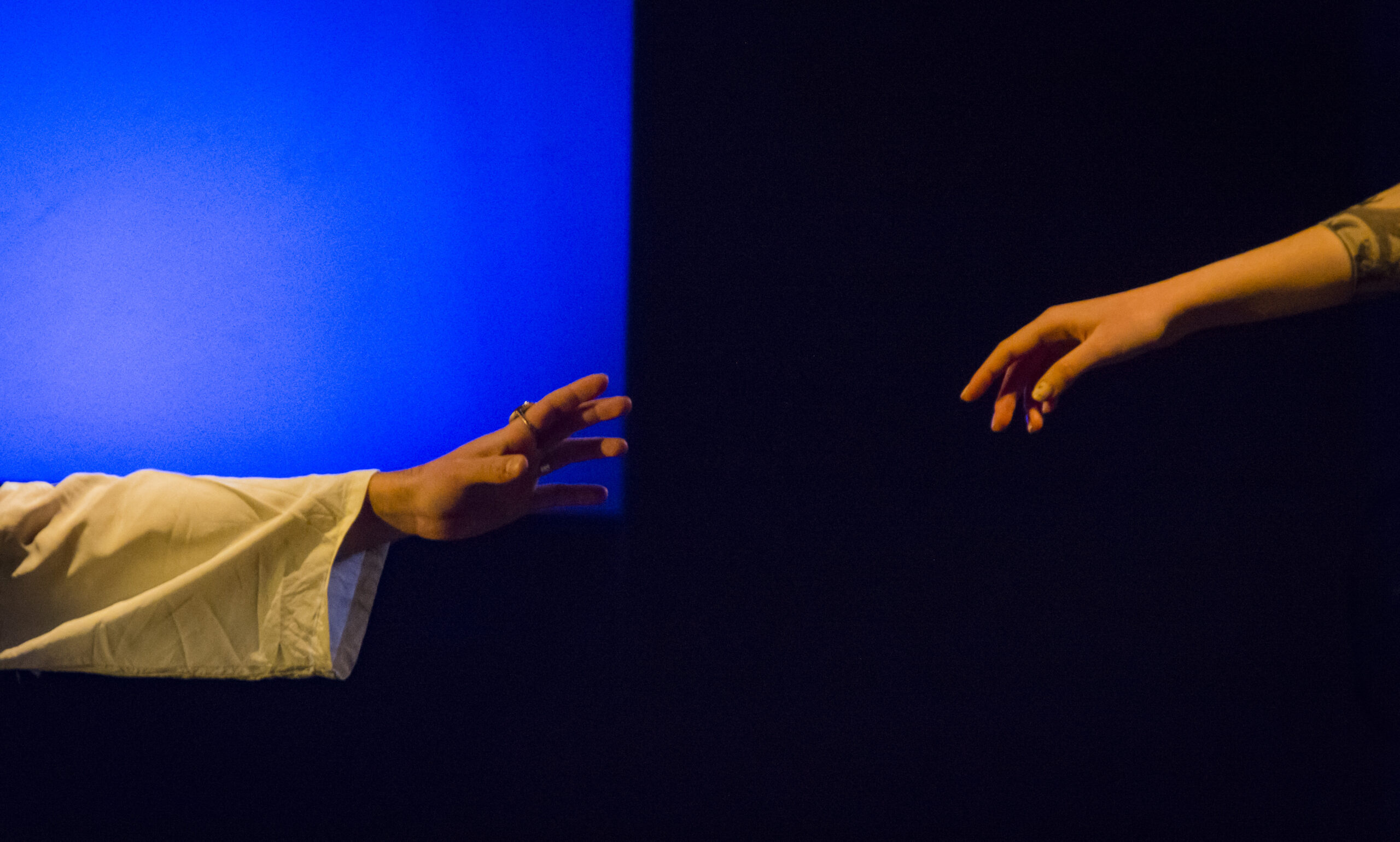 MONOGRÁFICO SELVA(9)